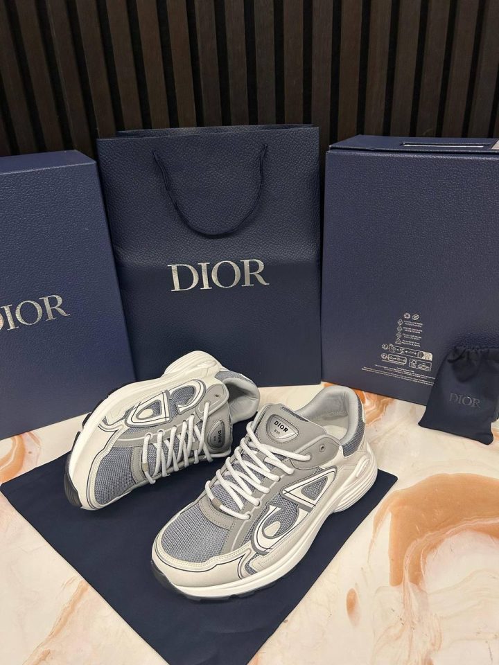 Dior B30 Sneaker Grijs