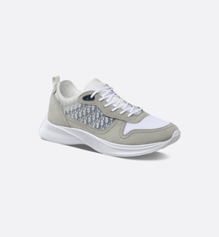 Dior b25 - Grey