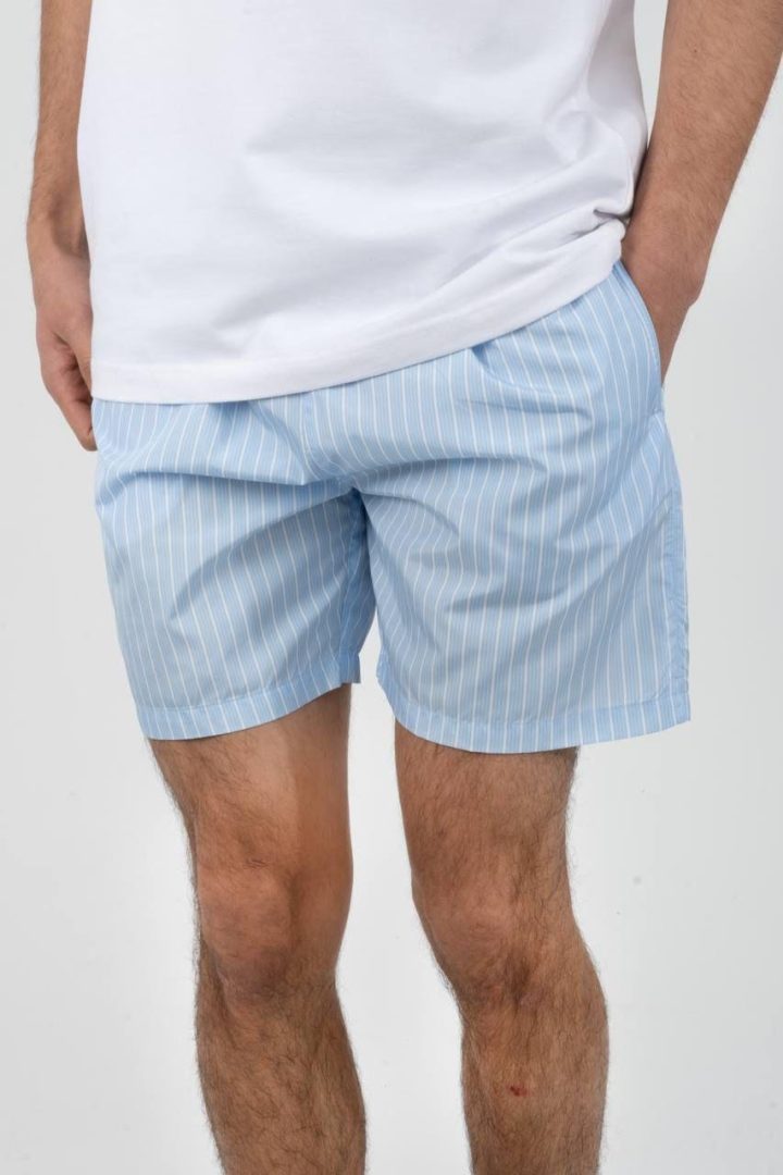 Dior Zwembroek - Baby Blauw Gestreept